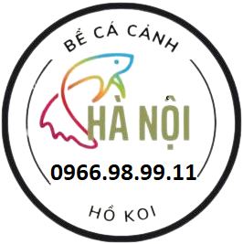 Bể Cá Cảnh Hà Nội